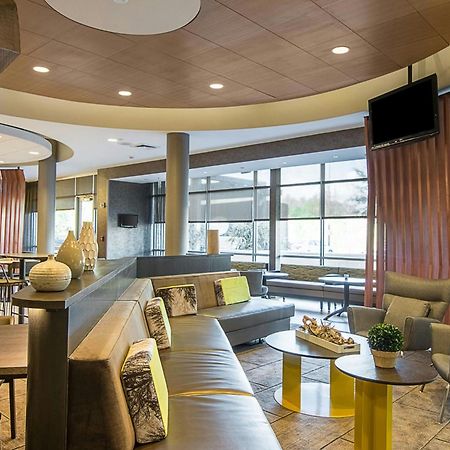 Springhill Suites Tampa North/Tampa Palms Zewnętrze zdjęcie