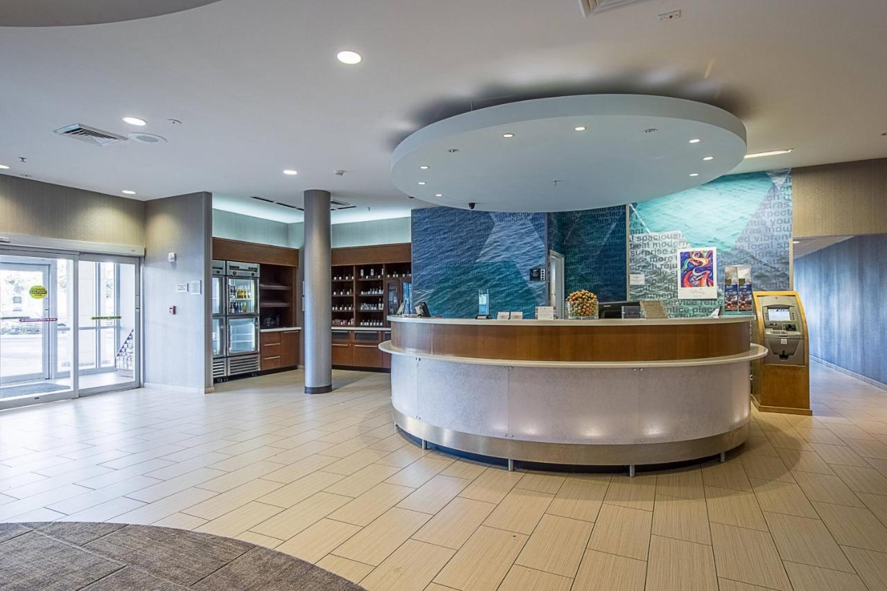 Springhill Suites Tampa North/Tampa Palms Zewnętrze zdjęcie
