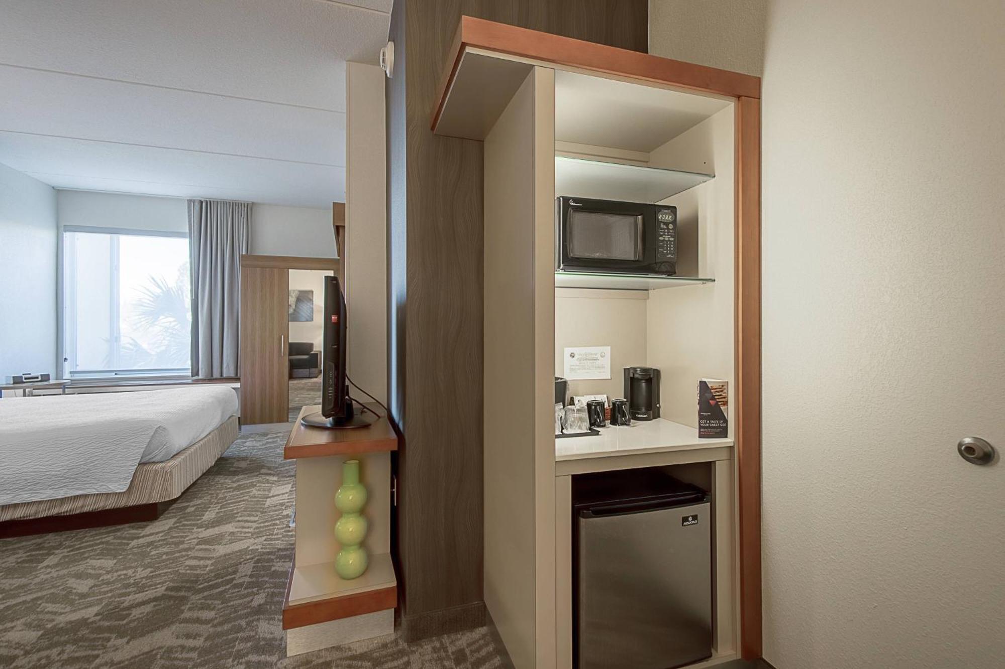 Springhill Suites Tampa North/Tampa Palms Zewnętrze zdjęcie