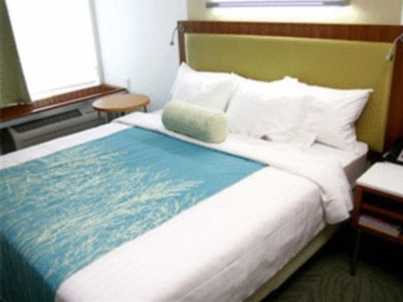 Springhill Suites Tampa North/Tampa Palms Zewnętrze zdjęcie