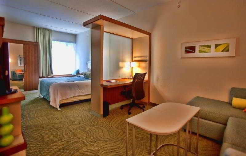 Springhill Suites Tampa North/Tampa Palms Zewnętrze zdjęcie