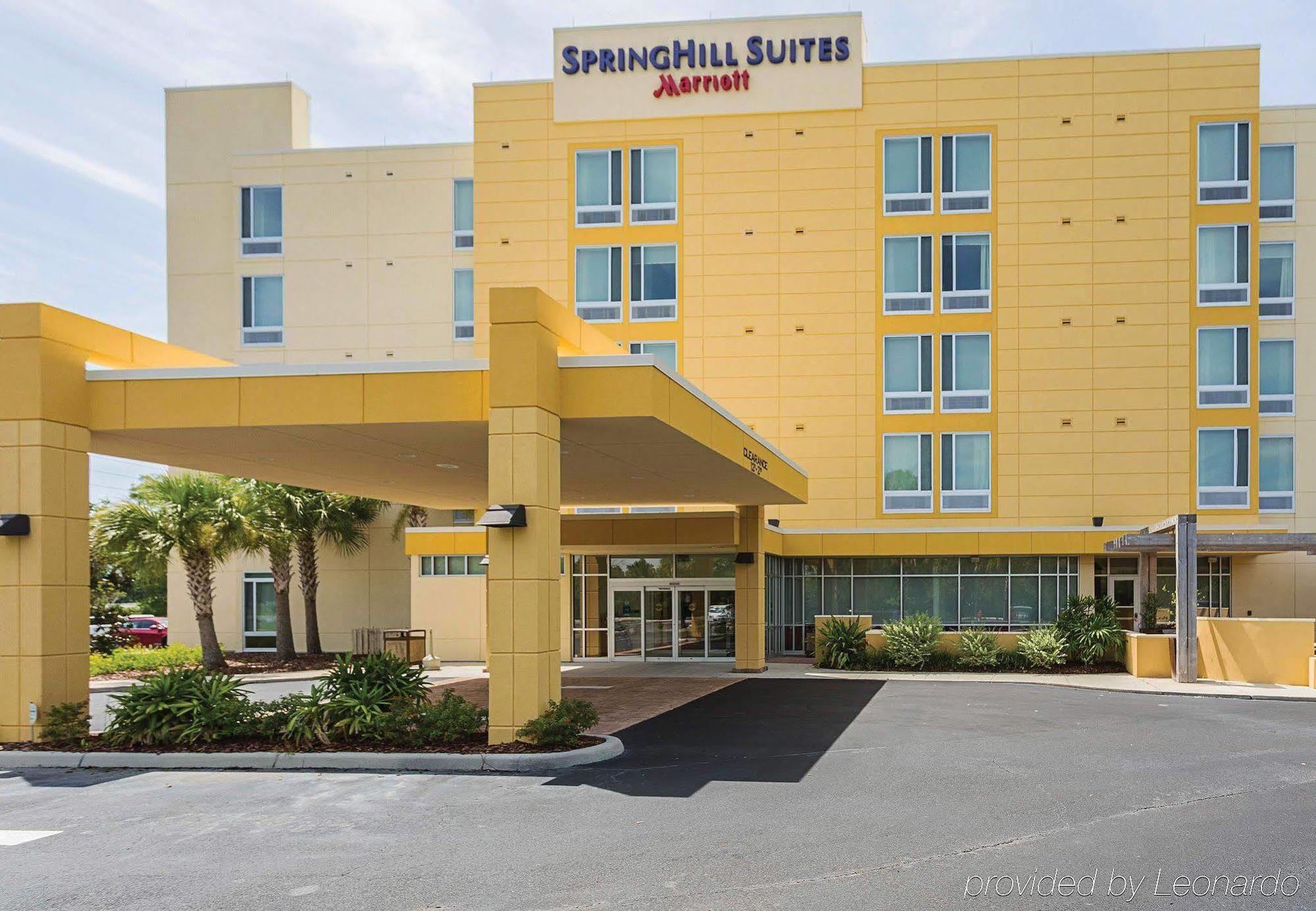 Springhill Suites Tampa North/Tampa Palms Zewnętrze zdjęcie