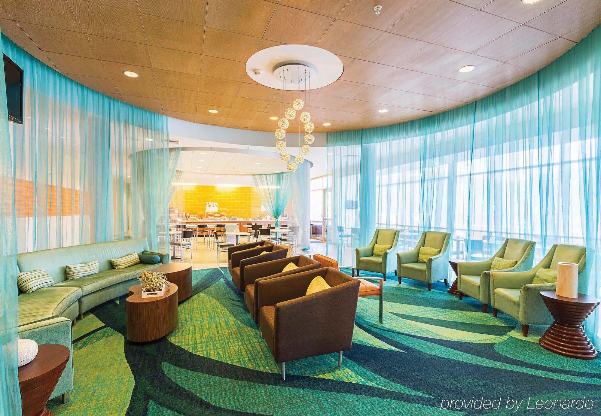 Springhill Suites Tampa North/Tampa Palms Zewnętrze zdjęcie