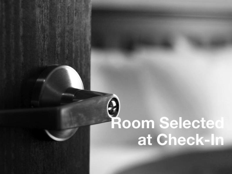 Springhill Suites Tampa North/Tampa Palms Zewnętrze zdjęcie